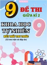 9 Đề thi giữa kì 2 Khoa học tự nhiên lớp 9 có ma trận & đáp án (Kết nối tri thức)